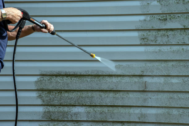Best Gutter Cleaning  in Guttenberg, IA
