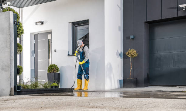 Pre-Holiday Cleaning in Guttenberg, IA